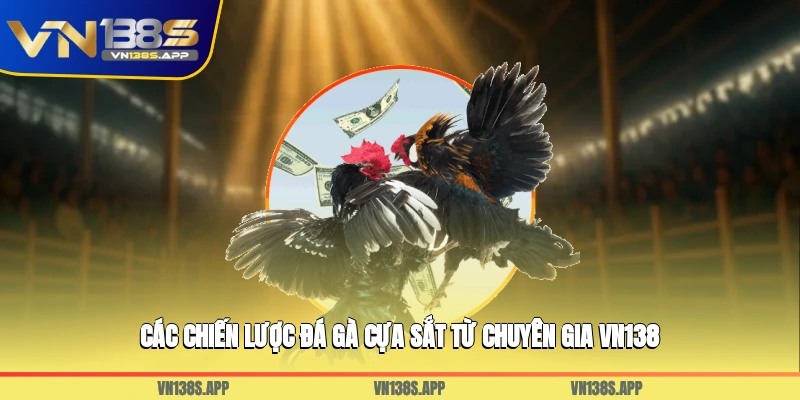 Các chiến lược đá gà cựa sắt từ chuyên gia VN138