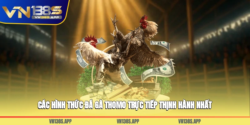 Các hình thức đá gà Thomo trực tiếp thịnh hành nhất