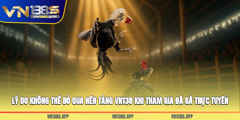 Lý do không thể bỏ qua nền tảng VN138 khi tham gia đá gà trực tuyến